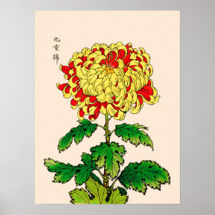 Vintage Japanese Chrysanthemum. Mustard Yellow Poster