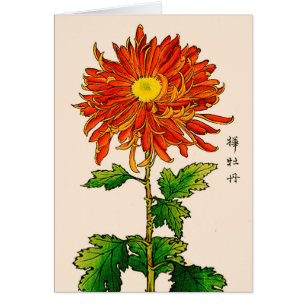 Vintage Japanese Chrysanthemum. Orange and Gold