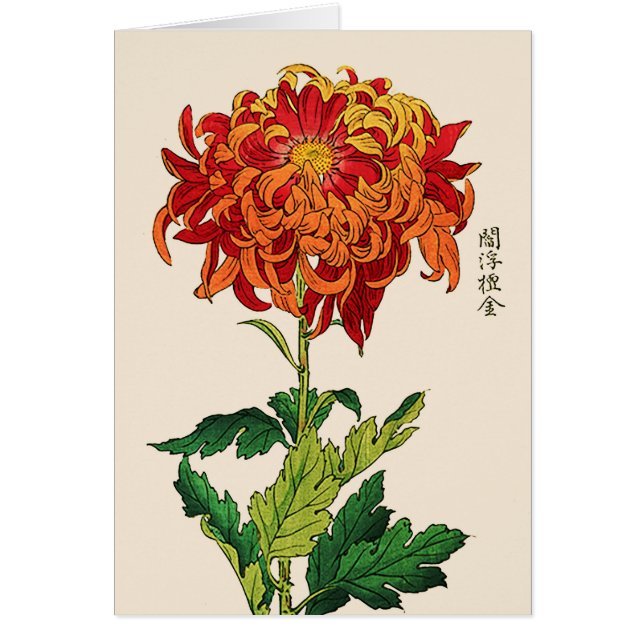 Vintage Japanese Chrysanthemum. Rust and Orange (Front)