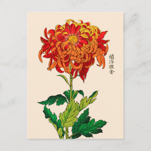 Vintage Japanese Chrysanthemum. Rust and Orange Postcard