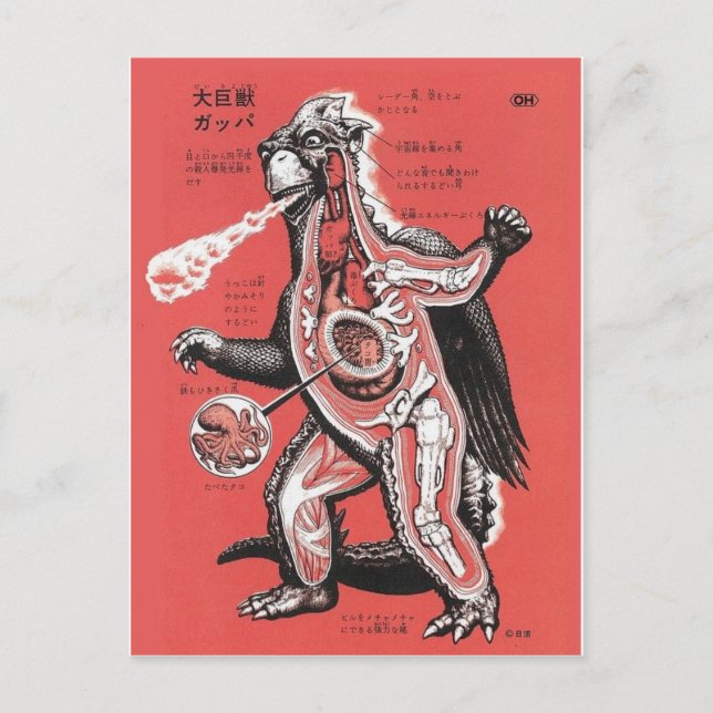 Vintage Japanese Cutaway Monster Postcard (Front)