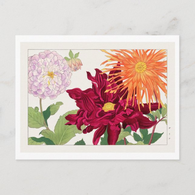 Vintage Japanese Dahlia Woodblock Print Postcard (Front)