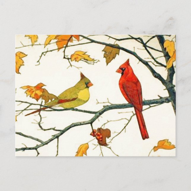 Vintage Japanese drawing, Cardinals on a branch Postcard (Front)