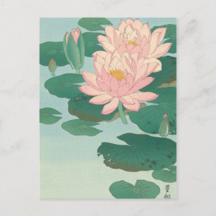 Vintage Japanese Fine Art: Flowering Water Lilies Postcard