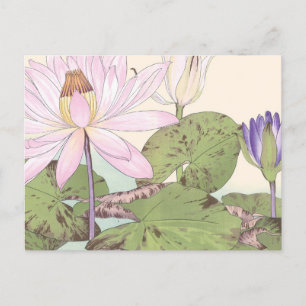 Vintage Japanese Floral Art Pale Pink Lotus Postcard