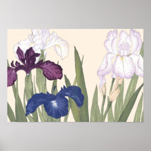 Vintage Japanese Floral Art Purple Iris Flowers Poster