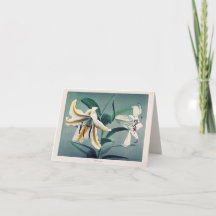 Vintage Japanese Flower Photography