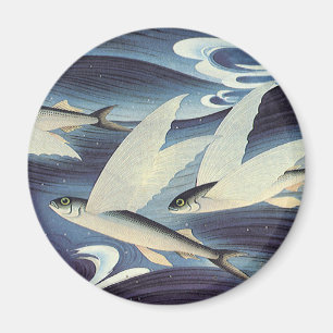 Vintage Japanese Flying Fish in Ocean, Japonism Magnet