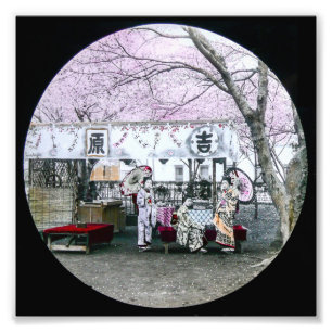 Vintage Japanese Geisha Sit Under Cherry Blossoms Photo Print