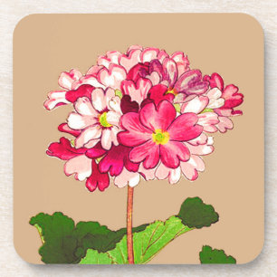 Vintage Japanese Hydrangea. Pink and Green Coaster