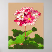 Vintage Japanese Hydrangea. Pink and Green