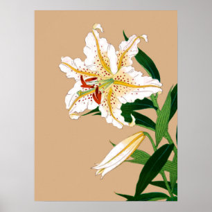 Vintage Japanese Liliy. White, Green and Beige n Poster