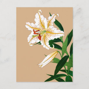 Vintage Japanese Liliy. White, Green and Beige Postcard