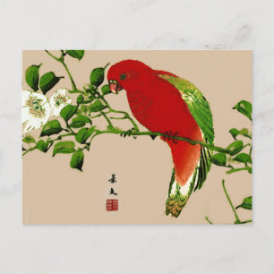 Vintage Japanese Painting of a Parrot, Red & Green Postcard