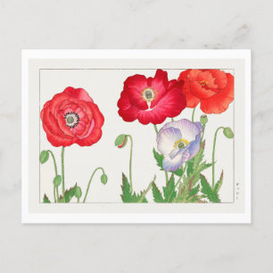Vintage Japanese Poppy Woodblock Print Postcard