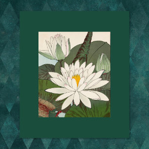 Vintage Japanese Print Water Lilies