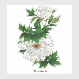 Vintage Japanese Sketch of Large White Peony