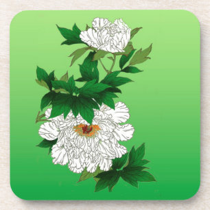 Vintage Japanese Sketch of Large White Peony Coaster