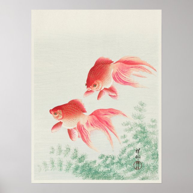 Vintage Japanese Veil Goldfish Illustration Poster (Front)