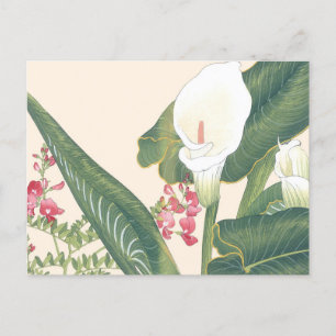 Vintage Japanese Woodblock White Calla Lily Postcard