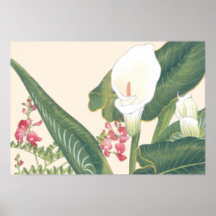 Vintage Japanese Woodblock White Calla Lily Poster