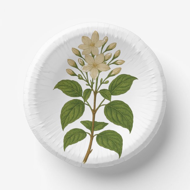 Vintage Jasmine Paper Plate (Front)