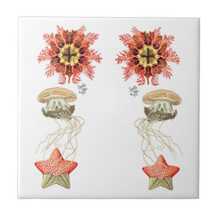 Vintage Jelly Fish Starfish Coral  Tile