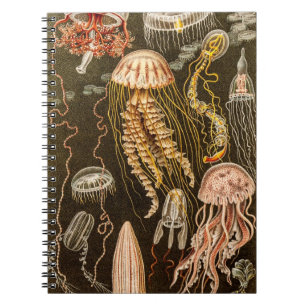 Vintage Jellyfish Antique Jelly Fish Illustration Notebook
