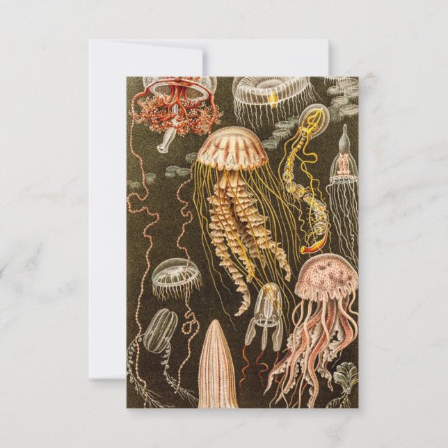 Vintage Jellyfish Antique Jelly Fish Illustration RSVP Card (Front)