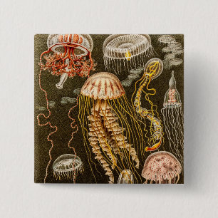 Vintage Jellyfish Antique Jelly Fish Template 15 Cm Square Badge