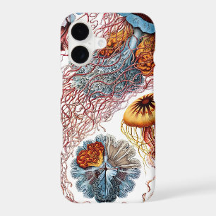 Vintage Jellyfish by Ernst Haeckel, Discomedusae