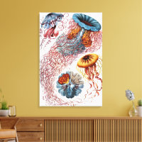 Vintage Jellyfish by Ernst Haeckel, Discomedusae