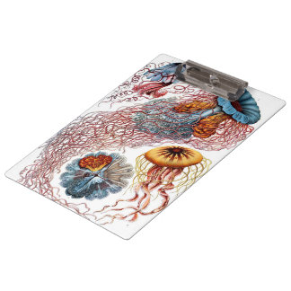 Vintage Jellyfish by Ernst Haeckel, Discomedusae Clipboard