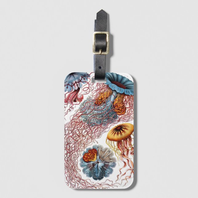 Vintage Jellyfish by Ernst Haeckel, Discomedusae Luggage Tag (Front Vertical)