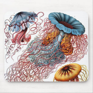 Vintage Jellyfish by Ernst Haeckel, Discomedusae Mouse Mat