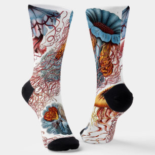 Vintage Jellyfish by Ernst Haeckel, Discomedusae Socks