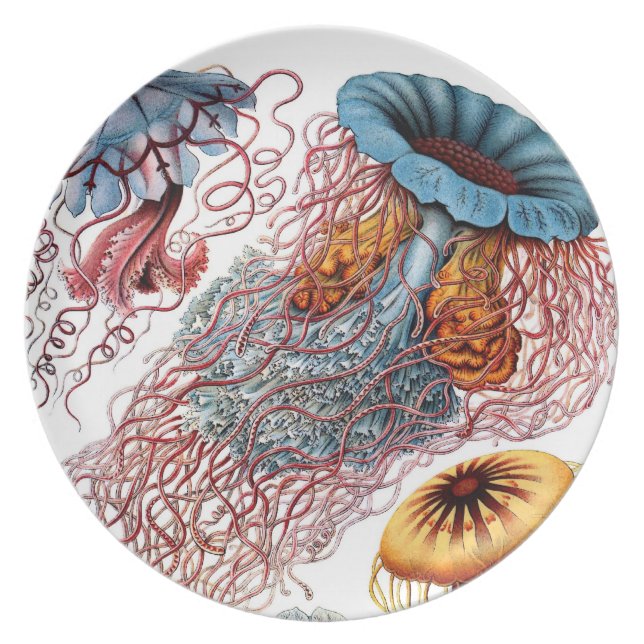 Vintage Jellyfish Marine Life Plate (Front)
