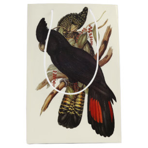 Vintage John Gould Red-Tailed Black Cockatoo Art Medium Gift Bag