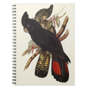 Vintage John Gould Red-Tailed Black Cockatoo Art Notebook