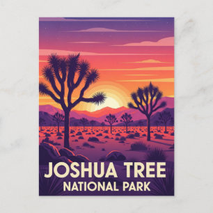 Vintage Joshua Tree National Park Postcard