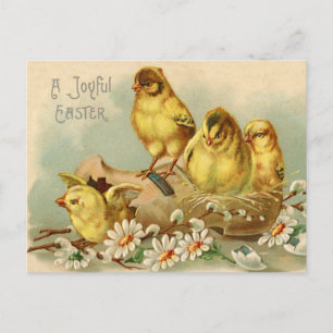 Vintage Joyful Easter Chicks in a Shoe Postcard