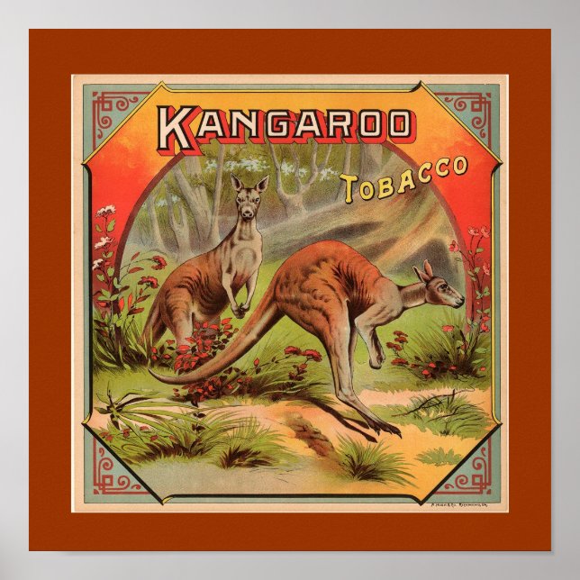 Vintage Kangaroo Advertisement Poster (Front)