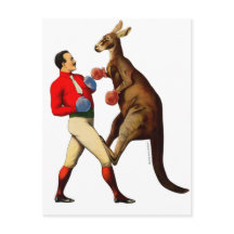 Vintage Kangaroo Boxer Boxing Sport