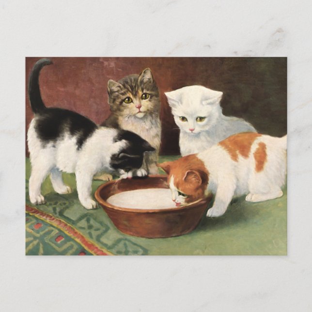 Vintage Katzen und Milch Postcard (Front)