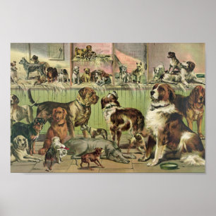 Vintage Kennel Club Illustration Poster