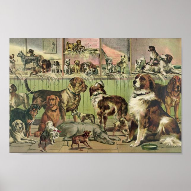 Vintage Kennel Club Illustration Poster (Front)