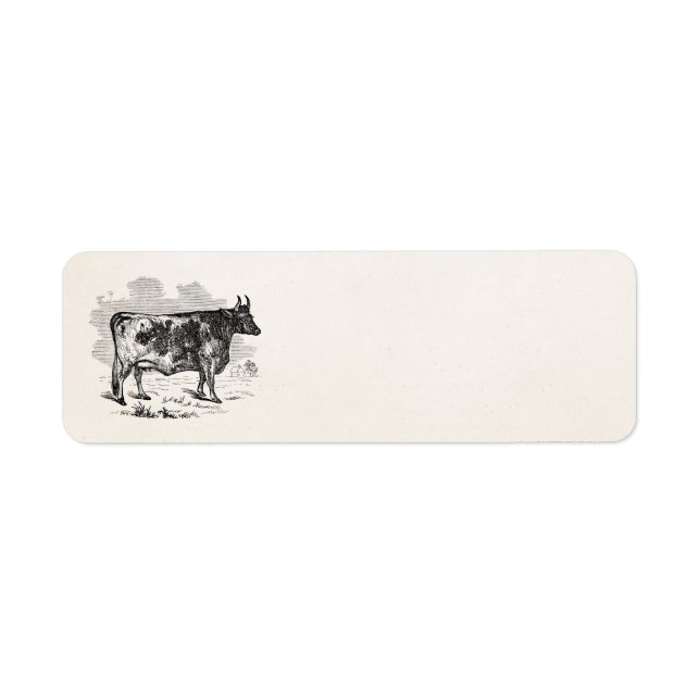 Vintage Kerry Cow Personalised Bull Illustration (Front)