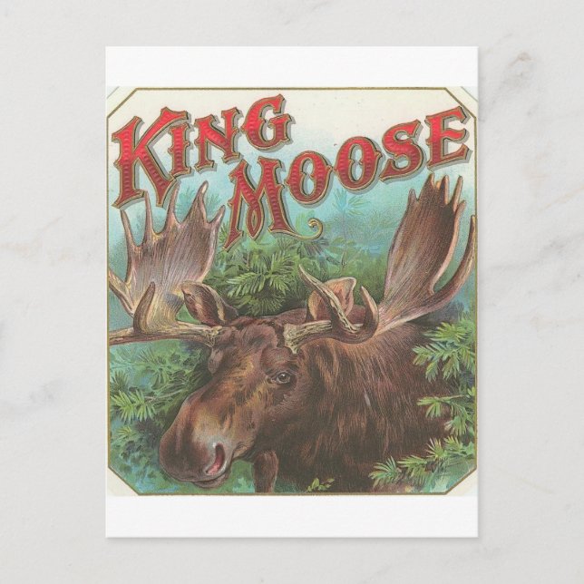 Vintage King Moose Postcard (Front)