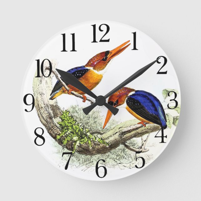 Vintage Kingfisher Bird Wildlife Animal Wall Clock (Front)