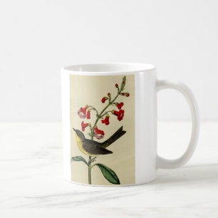 Vintage Kirtlands Warbler Bird Coffee Mug